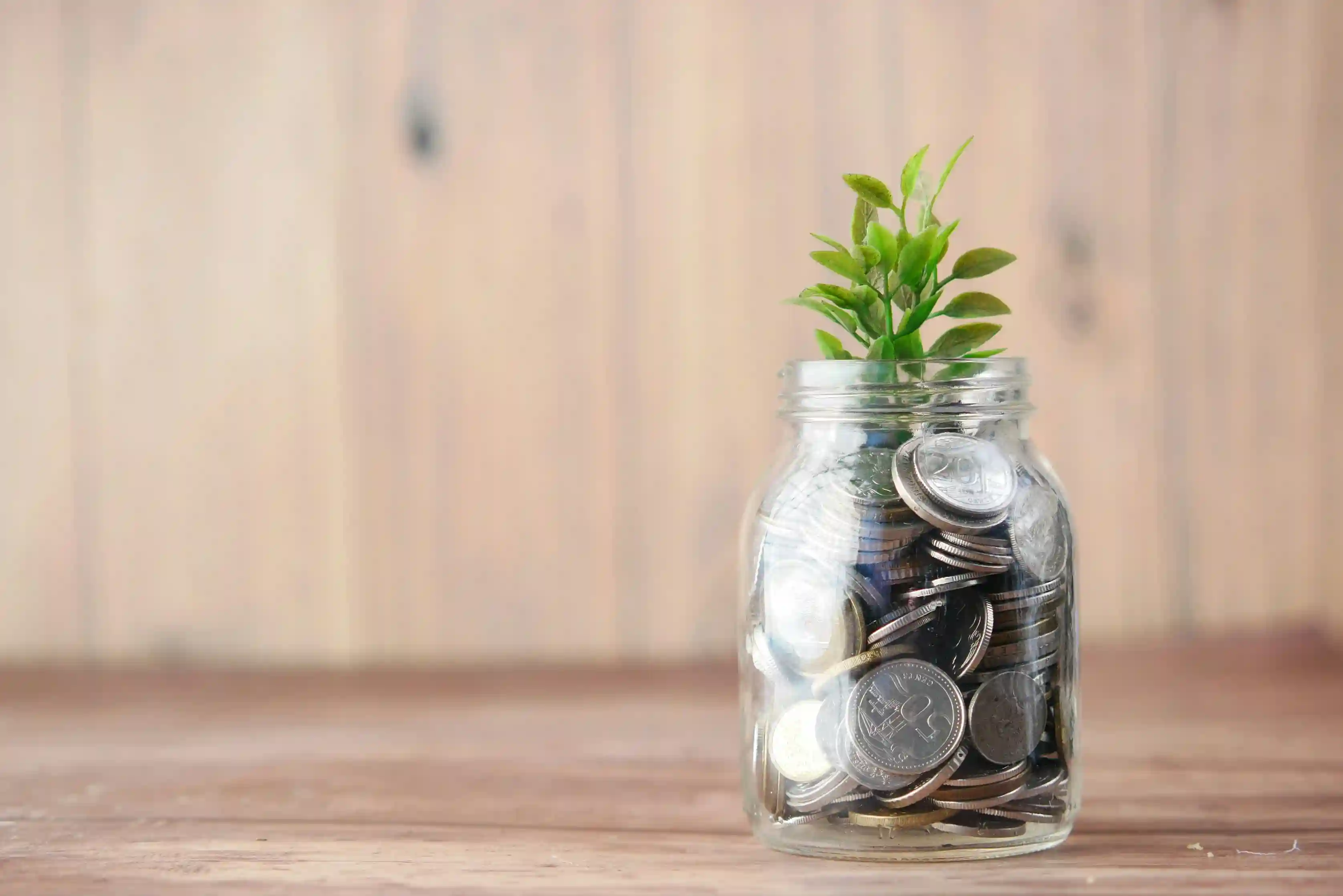 ROI Calculator Pro